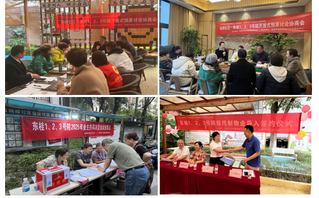 党建引领聚合力 信义治理焕新颜 —— 杨柳社区 "柳邻善治" 项目绘就基层治理新画卷(图4) 党建引领聚合力 信义治理焕新颜 —— 杨柳社区 "柳邻善治" 项目绘就基层治理新画卷(图4)
